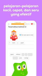 Duolingo 3